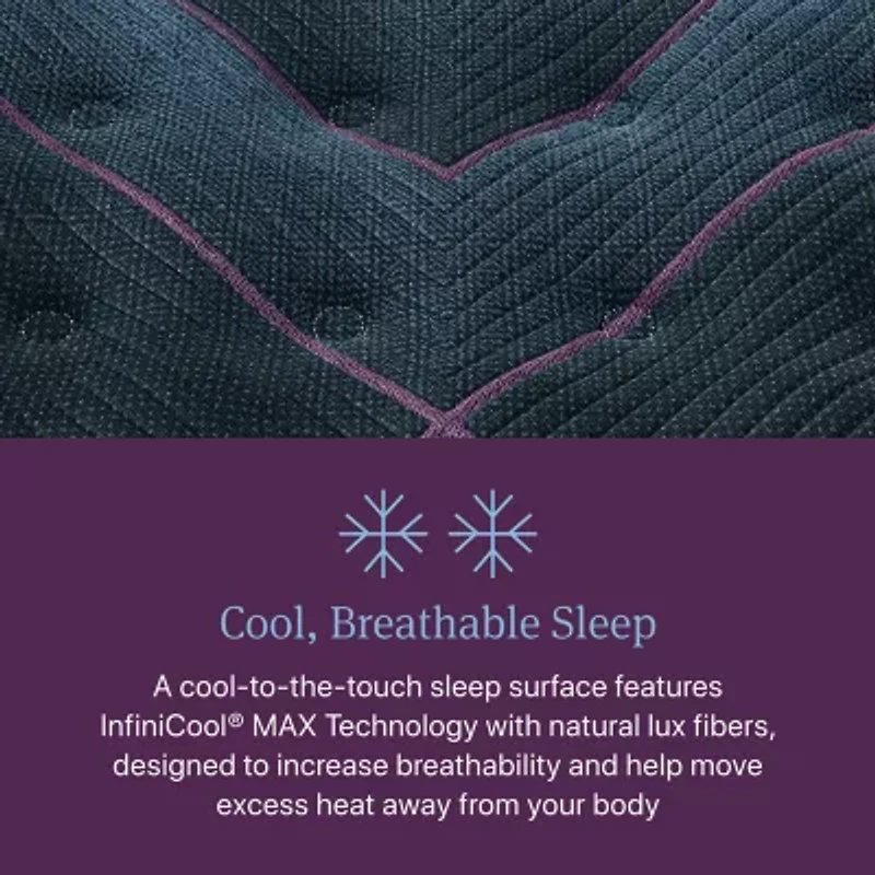 Beautyrest World Class Level Three 14.5" Medium Tight top