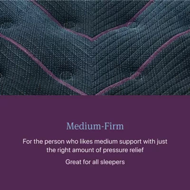 Beautyrest World Class Level Three 14.5" Medium Tight top