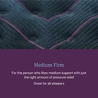 Beautyrest World Class Level Three 14.5" Medium Tight top