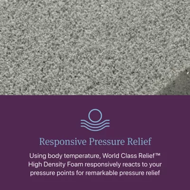 Beautyrest World Class Level Three 13" Firm Tight top