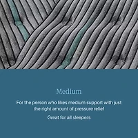 Beautyrest Level Two 14" Medium Tight top - Mattress + Box Spring