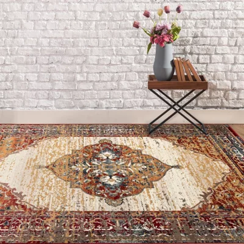 Amer Rugs Arlenu Cass Medallion Indoor Rectangular Accent Rug
