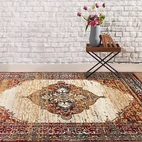 Amer Rugs Arlenu Cass Medallion Indoor Rectangular Accent Rug