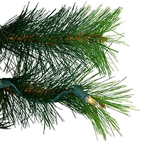 Northlight 48" Royal Oregon Pine Artificial Clear Lights Pre-Lit Wreath