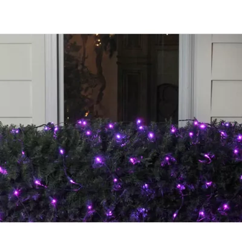 Northlight 4' X 6' Purple Led Wide Angle Style Green Wire Net Lights