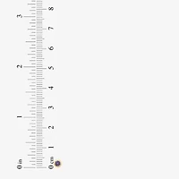 Limited Quantities! Purple Cubic Zirconia 14K Gold 4.5mm Round Stud Earrings