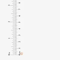 Limited Quantities! Pink Cubic Zirconia 14K Gold 4.5mm Round Stud Earrings