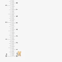 Limited Quantities! White Cubic Zirconia 14K Gold 7.1mm Stud Earrings