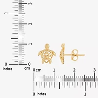 Limited Quantities! 14K Gold 11.3mm Stud Earrings