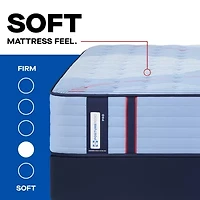 Sealy Posturepedic Fairholt 14" Plush Tight Top - Mattress + Box Spring