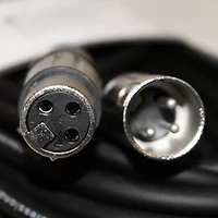 ChromaCast Pro Series Mic Cable - 10 Feet