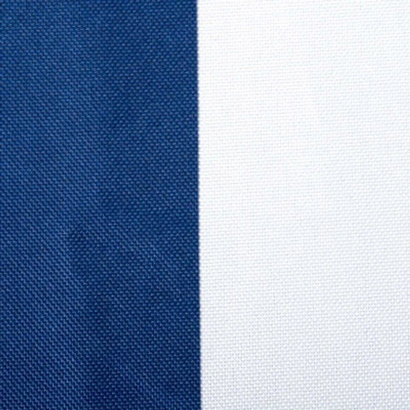 Design Imports Nautical Blue Cabana Stripe Print Outdoor 6-pc. Napkins