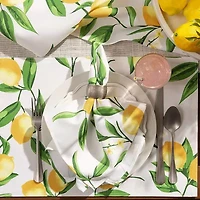 Design Imports Lemon Bliss Print Outdoor 6-pc. Placemat