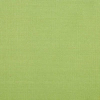 Design Imports Bright Green Solid Heavyweight Fringed Table Runner