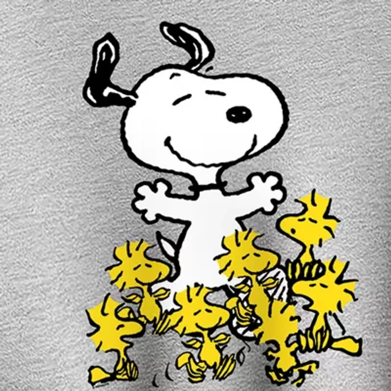 Snoopy And Woodstock Womens Crew Neck Long Sleeve Peanuts Pullover Sweater