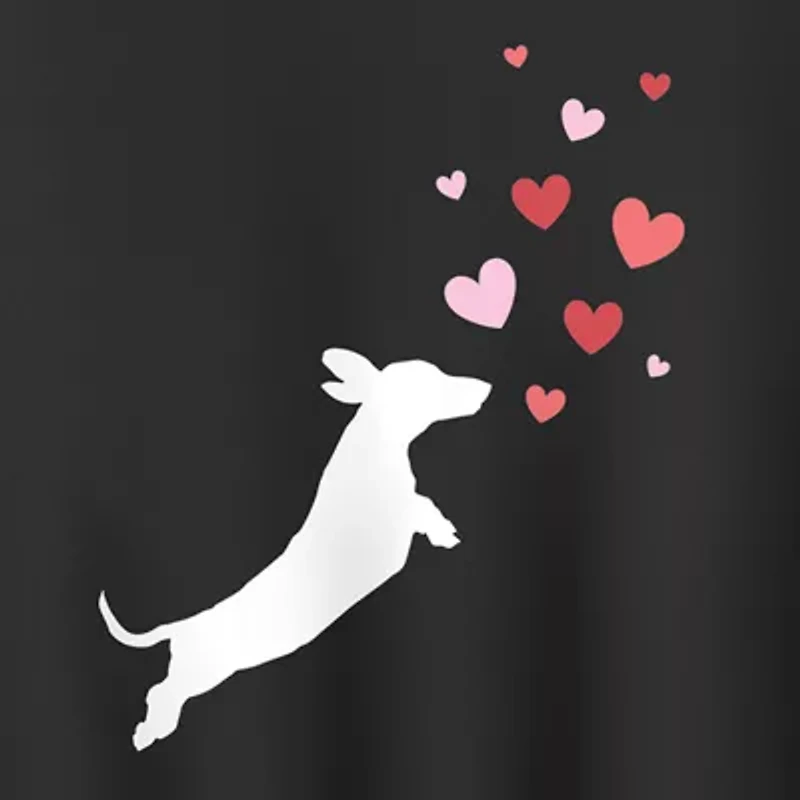 Dachsund Hearts Womens Crew Neck Long Sleeve Pullover Sweater