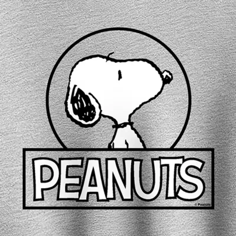 Womens Crew Neck Long Sleeve Peanuts Pullover Sweater