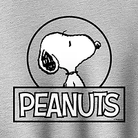 Womens Crew Neck Long Sleeve Peanuts Pullover Sweater