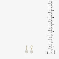 Silver Treasures Womens White Cultured Freshwater Pearl 14K Gold Over Silver Drop Earrings
