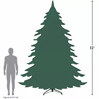 Northlight Artificial Unlit 12 Foot Fir Christmas Tree
