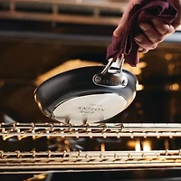 Anolon X Hybrid 8.25" Non-Stick Skillet