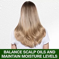 CHI® Tea Tree Oil Shampoo - 12 oz.