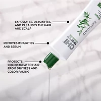 Chi Styling Powerplus Exfoliate Hair Loss Treatment Shampoo-12 oz.