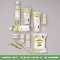 Burts Bees Soothing Toner