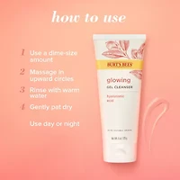 Burts Bees Truly Glowing Gel Cleanser