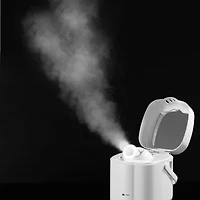 Prospera Nano Steamer, Gold Pulse Facial