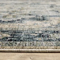 Covington Home Adeline Center Medallion Indoor Rectangular Area Rug