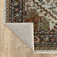 Covington Home Adeline Oriental Medallion Indoor Rectangular Area Rug