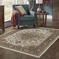 Covington Home Adeline Oriental Medallion Indoor Rectangular Area Rug