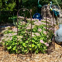 Net Health Shops Vine Metal 2-pc. Garden Trellis