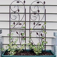 Net Health Shops Vine Metal 2-pc. Garden Trellis