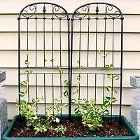 Net Health Shops Traditional Metal 2-pc. Garden Trellis