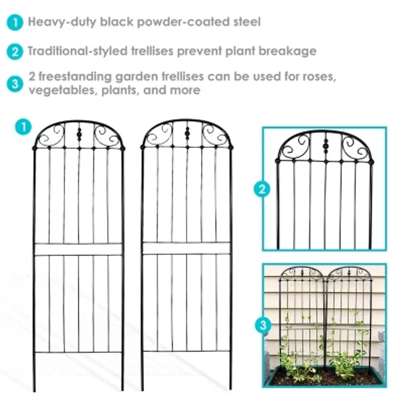 Net Health Shops Traditional Metal 2-pc. Garden Trellis