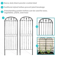 Net Health Shops Traditional Metal 2-pc. Garden Trellis
