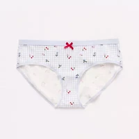 Arizona Body Organic Cotton Hipster Panty