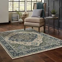 Covington Home Adeline Center Medallion Indoor Rectangular Area Rug