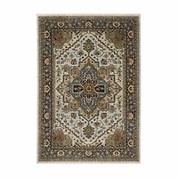 Covington Home Adeline Oriental Medallion Indoor Rectangular Area Rug