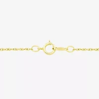 Womens Genuine Purple Amethyst 14K Gold Over Silver Heart 18 Inch Pendant Necklace