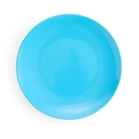 Outdoor Oasis Solid Blue 4-pc. Dinner Plate