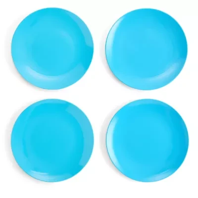 Outdoor Oasis Solid Blue 4-pc. Dinner Plate