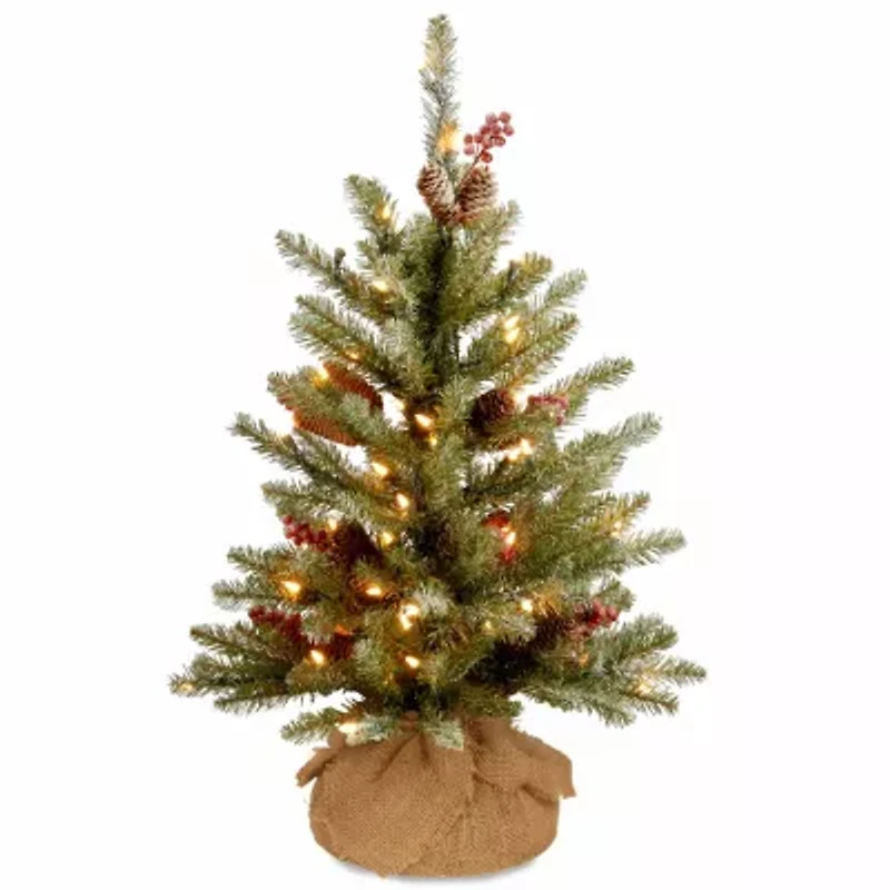 National Tree Co. Dunhill Fir 2 Foot Pre-Lit Flocked Fir Christmas Tree
