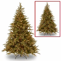 National Tree Co. Frasier Grande Hinged 7 1/2 Foot Pre-Lit Fir Christmas Tree