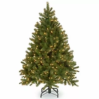 National Tree Co. Downswept Douglas Fir Hinged 1/2 Foot Pre-Lit Fir Christmas Tree