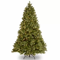 National Tree Co. Downswept Douglas Fir Hinged 6 1/2 Foot Pre-Lit Fir Christmas Tree