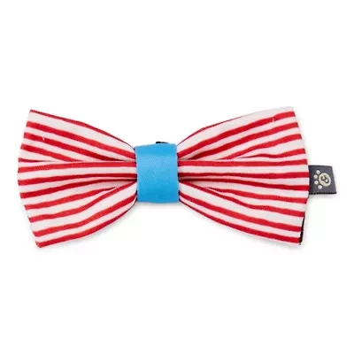 Paw & Tail Striped Dog Bowtie