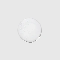 Paul Mitchell Lavender Mint Moisturizing Travel Shampoo 2.5 oz.